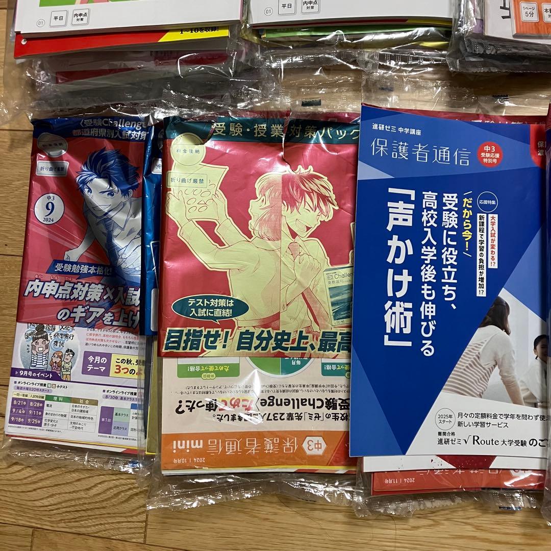 進研ゼミ 中学講座 中３ 10ヶ月分セット