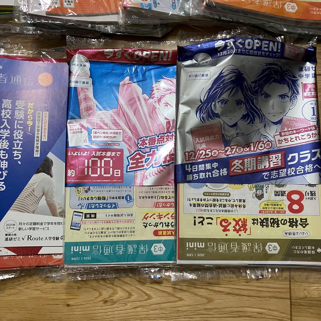 進研ゼミ 中学講座 中３ 10ヶ月分セット