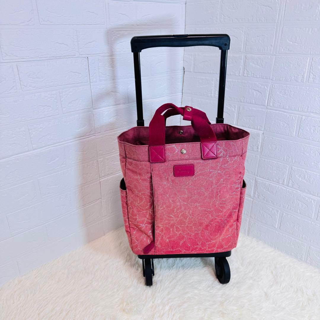 【良品】SWANY ウォーキングバッグ フローロ フラワー ボルドー 軽量
