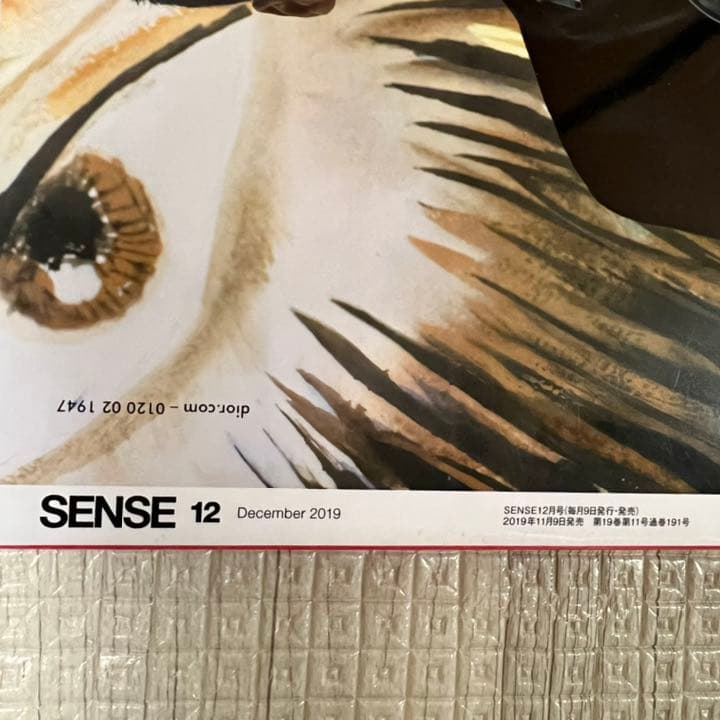 絶版！ SENSE sense センス 2019年 12月 TENDERLOIN
