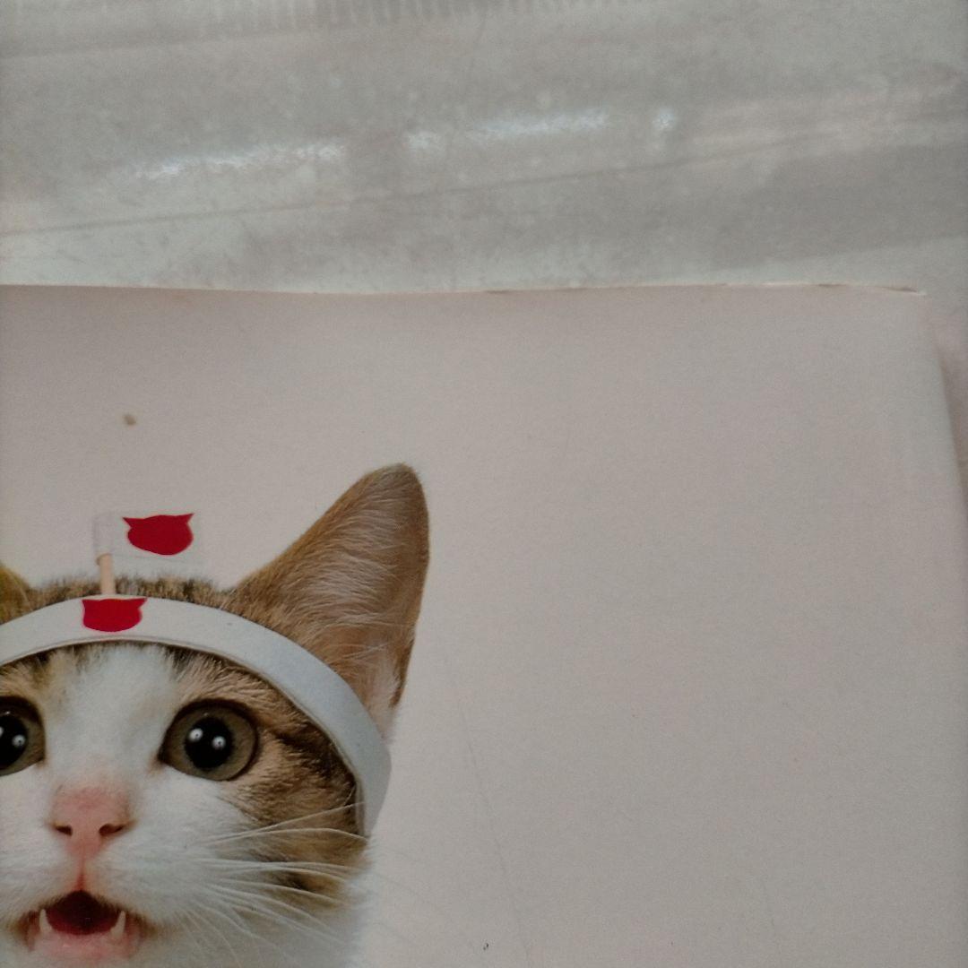 なめ猫　なめんなよ　大写真館　初版
