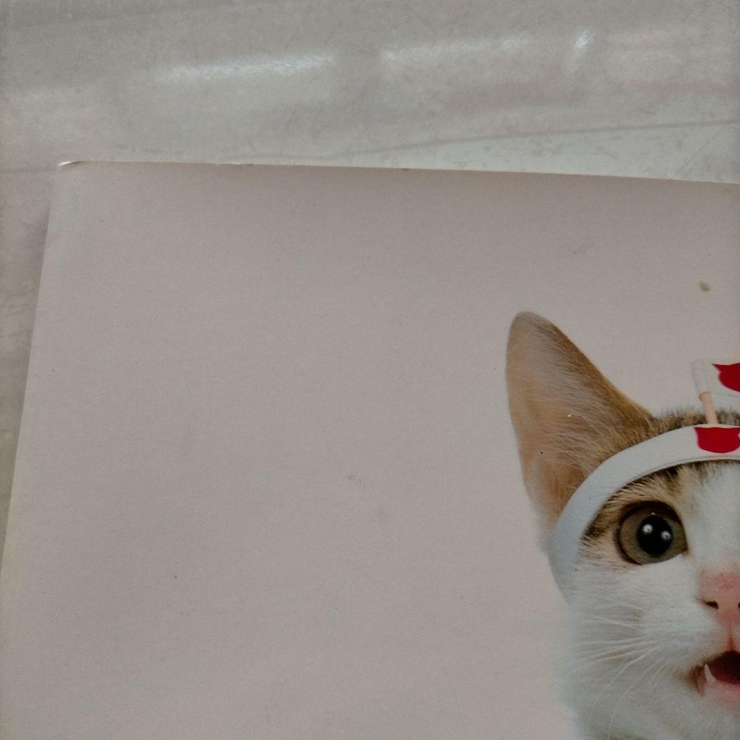 なめ猫　なめんなよ　大写真館　初版