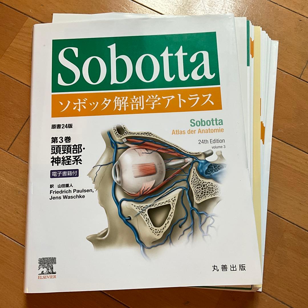裁断済み　ソボッタ解剖学アトラス　原書24版　第3巻　頭頸部・神経系