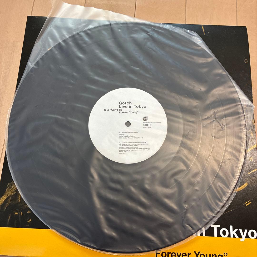 レコード LP アジカン ランドマーク live in tokyo 2枚セット