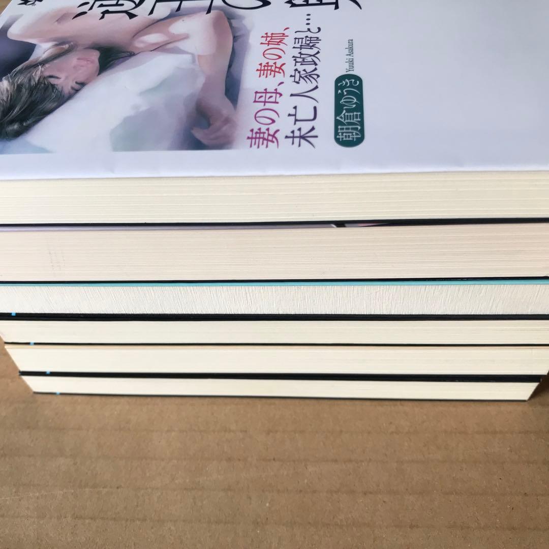 【本日限定セール❗️】美臀制覇 : 兄嫁、女教師、息子の嫁、隣家の妻　他6冊セット