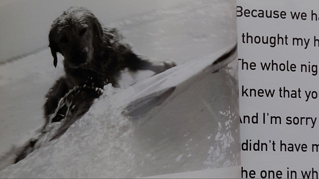 【HK4S/2023/0223】◎BRUCE WEBER’S SPECIAL A
