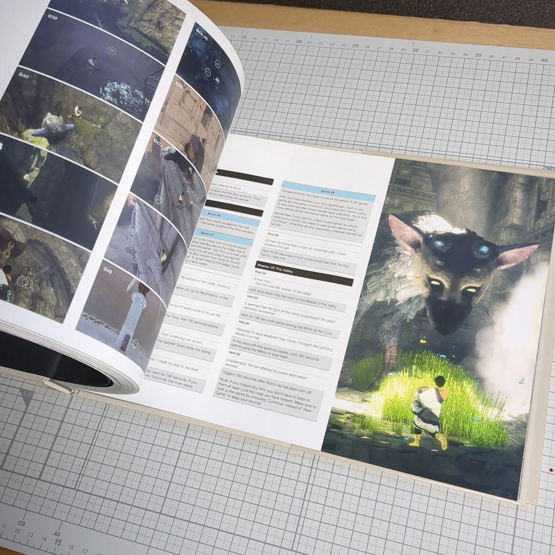 洋書 The Last Guardian An Extraordinary Story