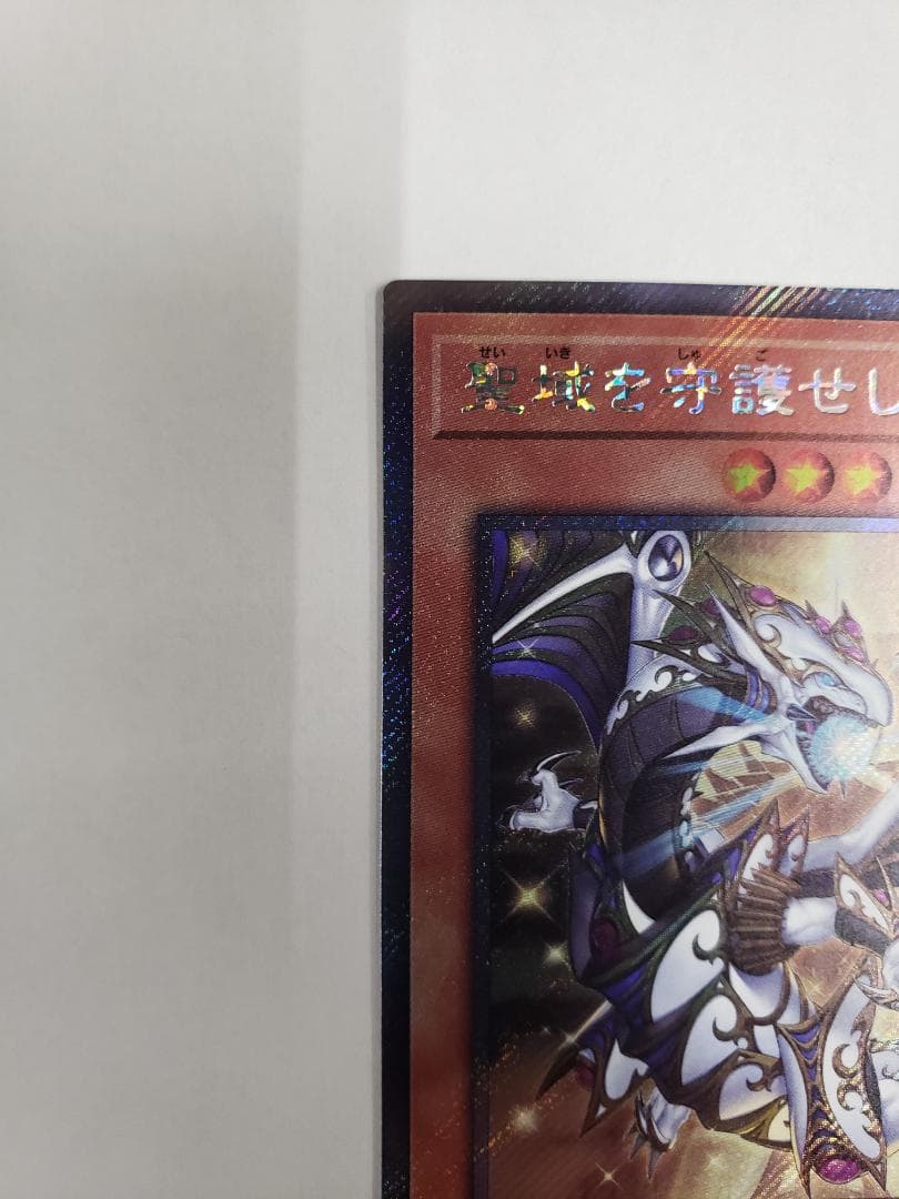 遊戯王 聖域を守護せし光の龍 EXSE エクシク