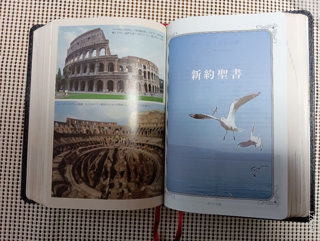 ■革表紙・三方金　聖地写真入り　聖書 新共同訳　 福音社　2003年