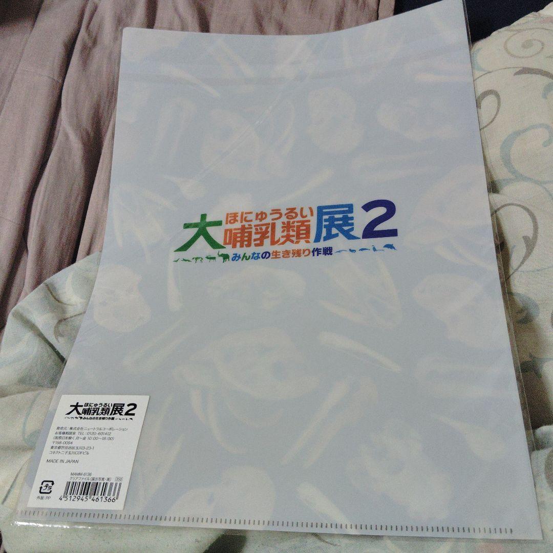 大哺乳類展2 限定品セット　国立科学博物館