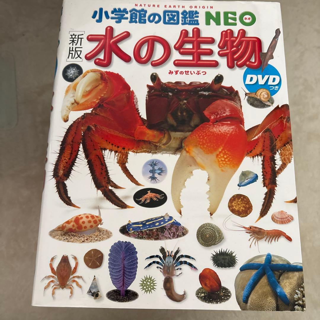 講談社MOVE＋小学館NEO 図鑑 10冊まとめセット
