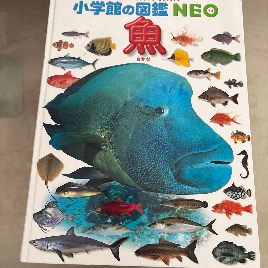 講談社MOVE＋小学館NEO 図鑑 10冊まとめセット