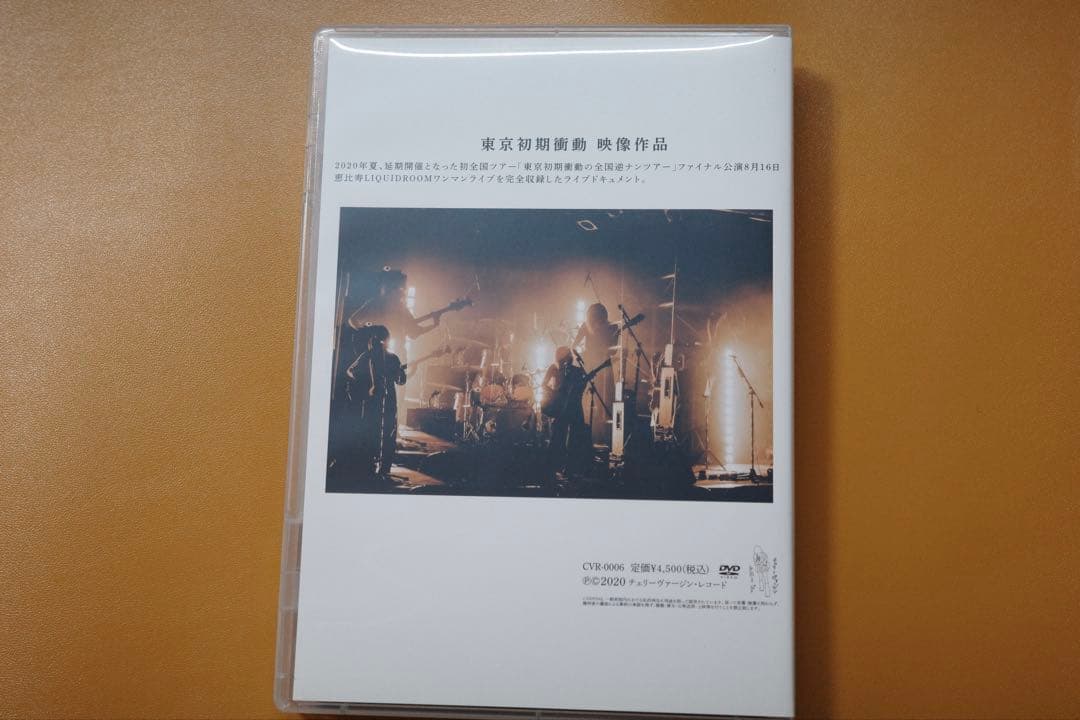 【美品】東京初期衝動 DVD ぼくたちは何だかすべて忘れてしまうね