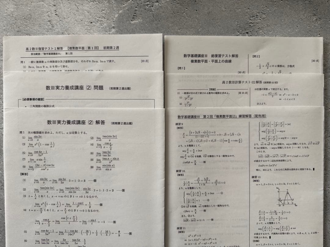 鉄緑会 高2 数学基礎・発展講座 Ⅲ テキスト/問題集/テスト等