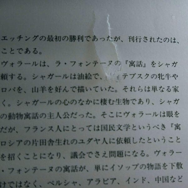 マルク・シャガール作品集 リトグラフ他 画集