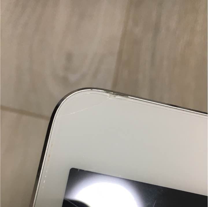 iPad本体 iPad mini