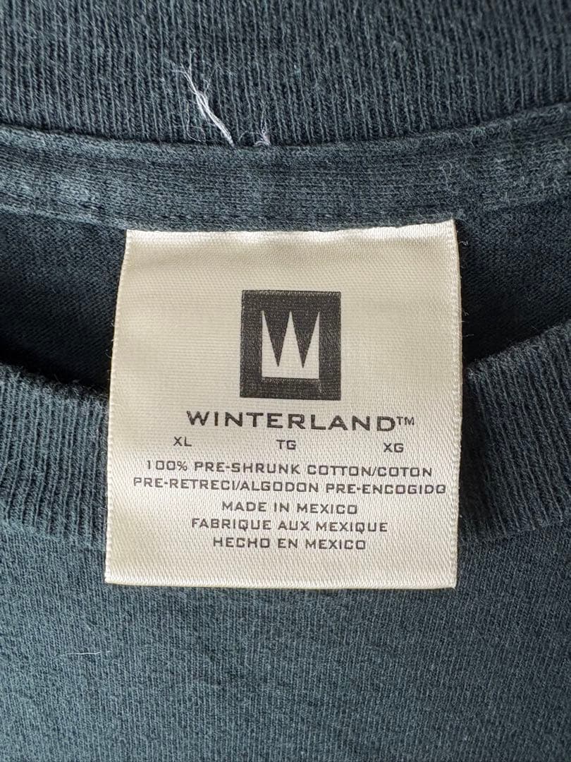 90s ヴィンテージ　メキシコ製　バックストリートボーイズ　バンドTシャツ　XL