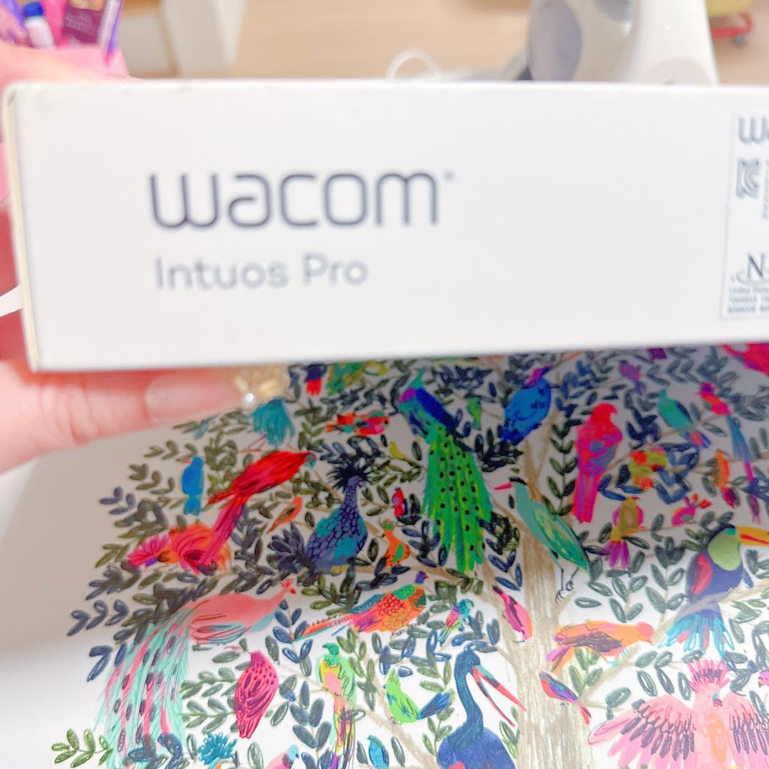Wacom Intuos Pro M PTH-660 ペンタブレット 動作確認済