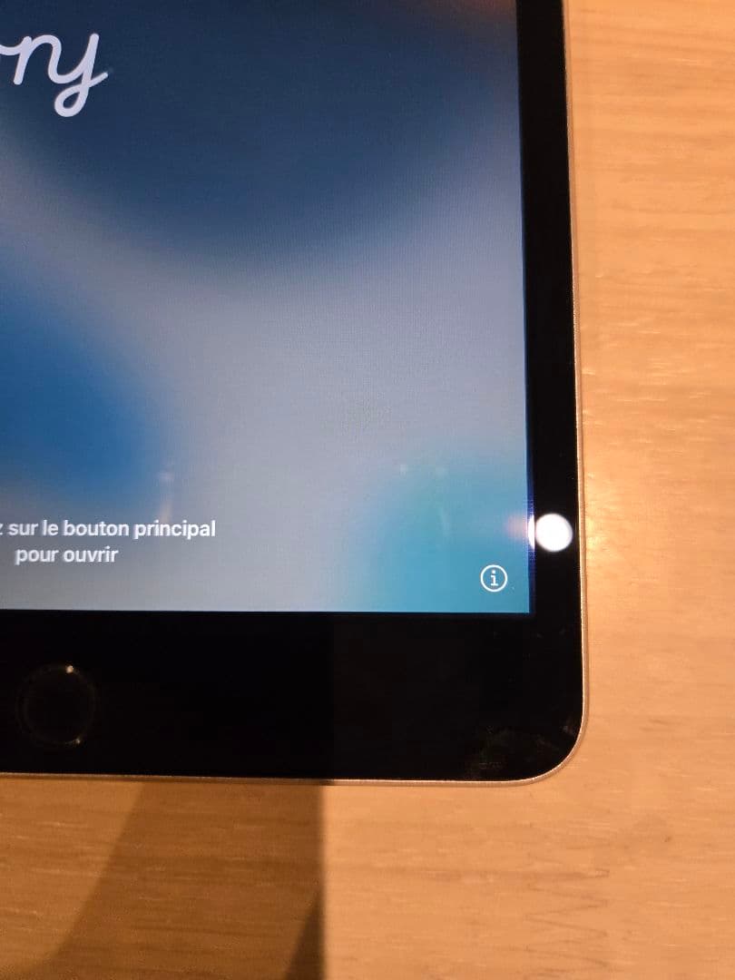iPad mini 4 シルバー　wifi 128gb 本体 動作確認