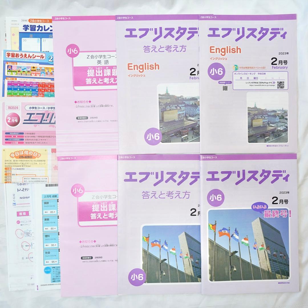 Z会 エブリスタディ 小6 5教科通年 ハイレベル版 書き込みなし 付属品完備