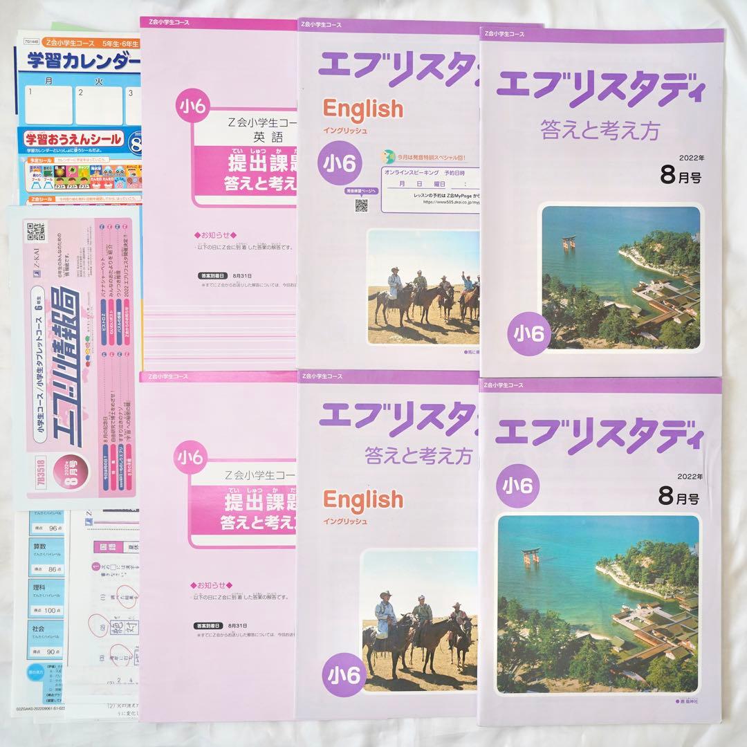 Z会 エブリスタディ 小6 5教科通年 ハイレベル版 書き込みなし 付属品完備