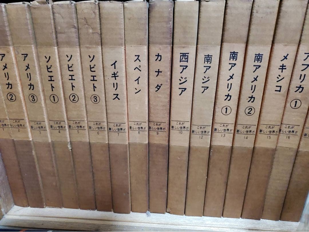 これがあたらしい世界だ(本)16巻