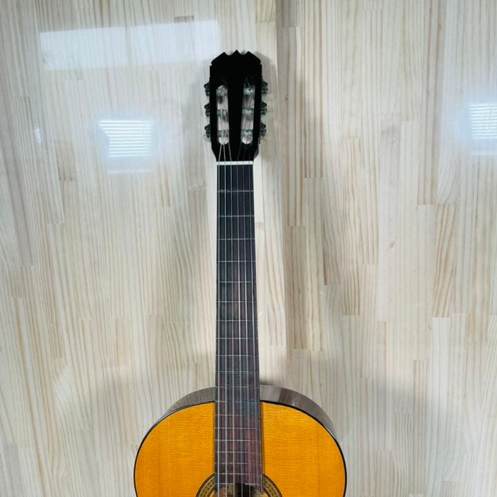 アコースティックギター　G-100