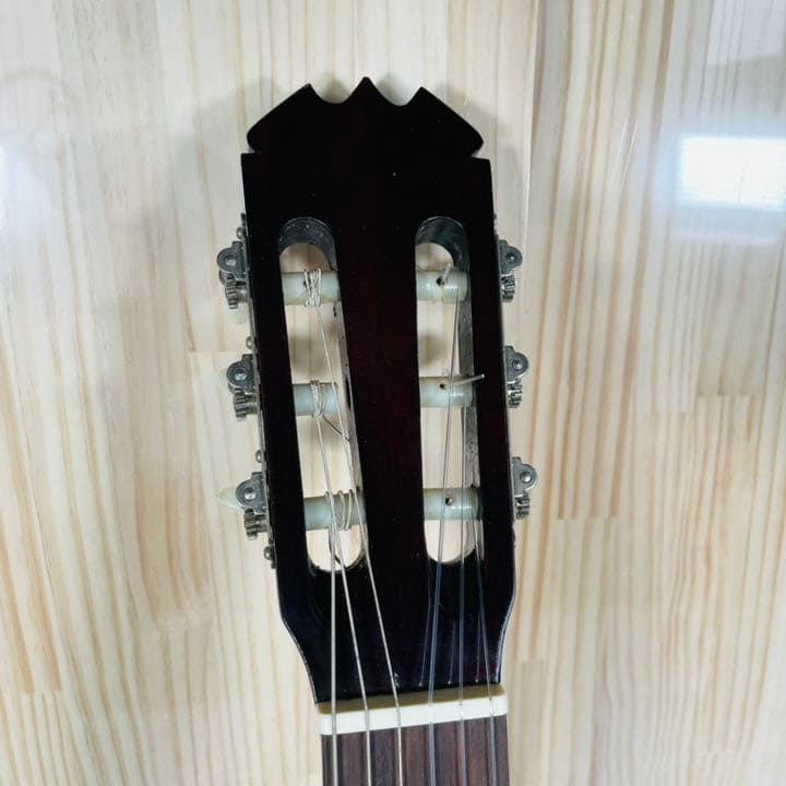 アコースティックギター　G-100
