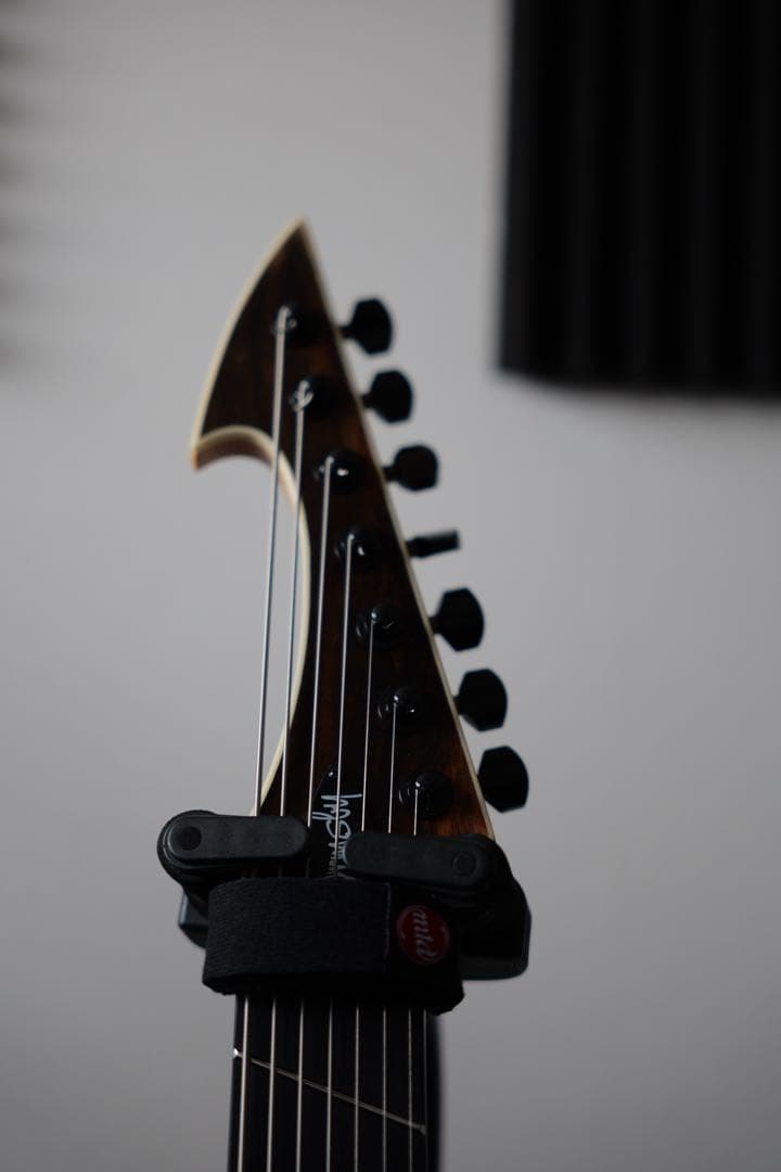 Ormsby Hype GTR 7 ピックアップ bareknuckle