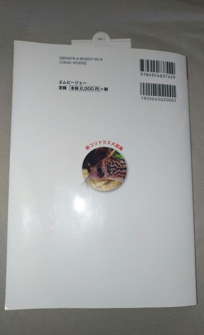 【即発送！栞付※状態必読】　新コリドラス大図鑑　小林圭介　166種すべて掲載！