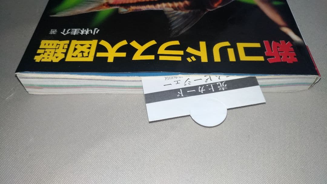 【即発送！栞付※状態必読】　新コリドラス大図鑑　小林圭介　166種すべて掲載！