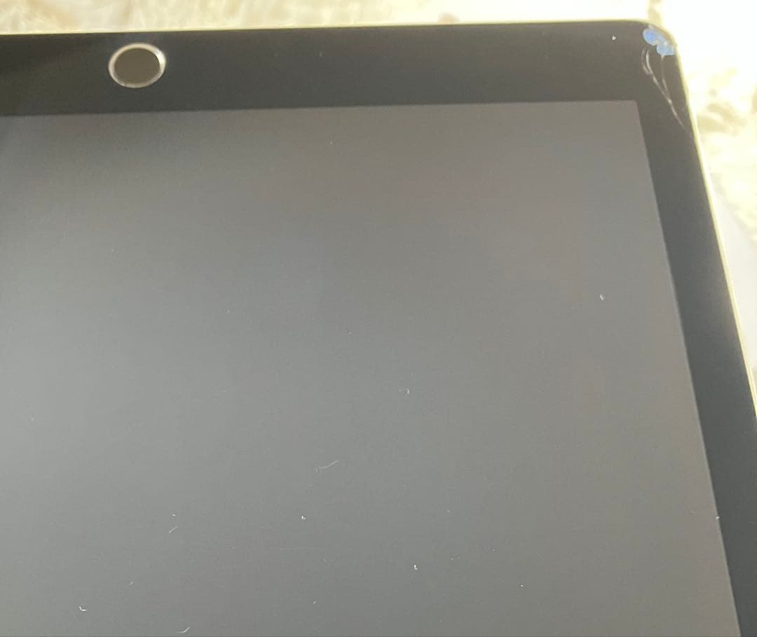 【早い者勝ち】iPad Pro 12.9 128GB 【すぐ発送】【付属品】