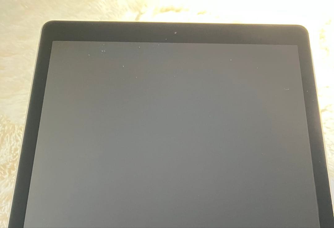 【早い者勝ち】iPad Pro 12.9 128GB 【すぐ発送】【付属品】