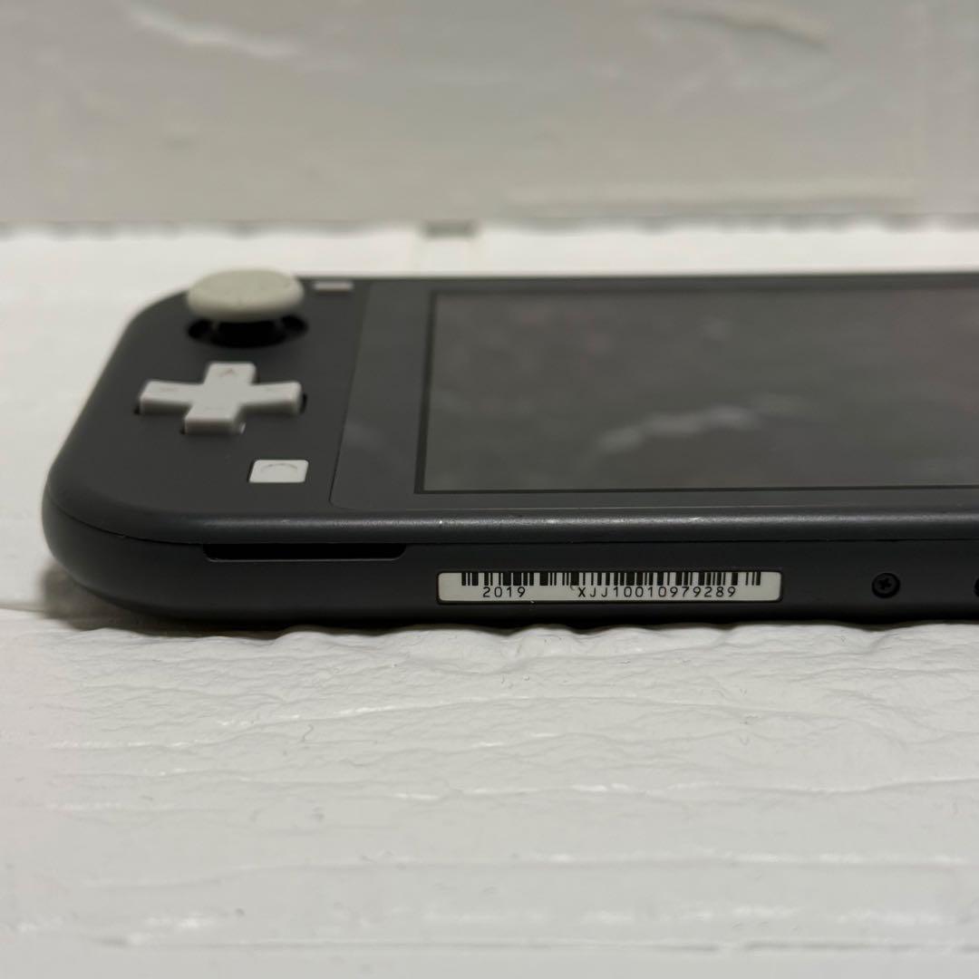 Nintendo Switch Lite グレー HDH-001 本体 充電器付