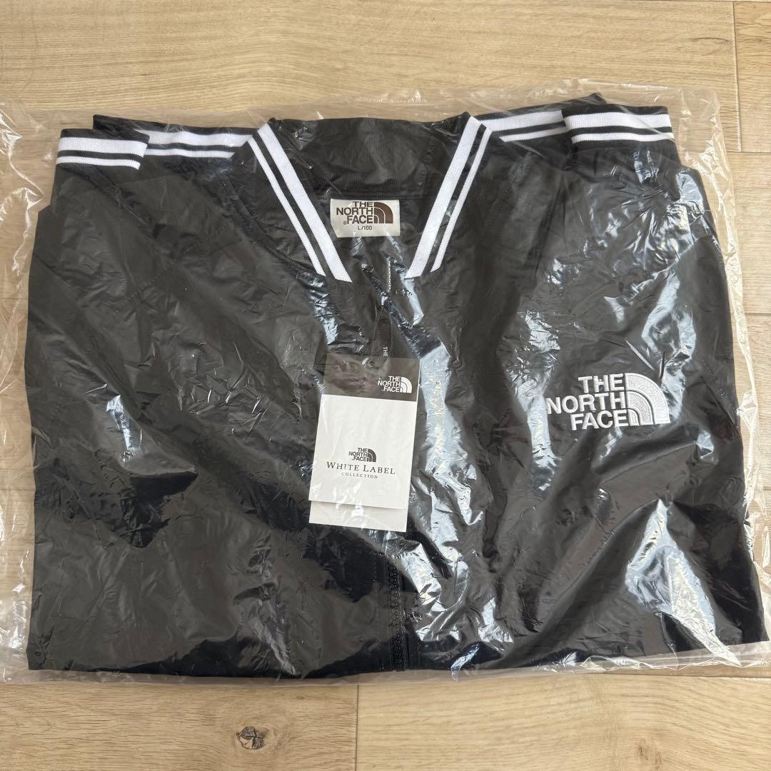 【韓国限定】THE NORTH FACE オレマEX ボンバージャケット L