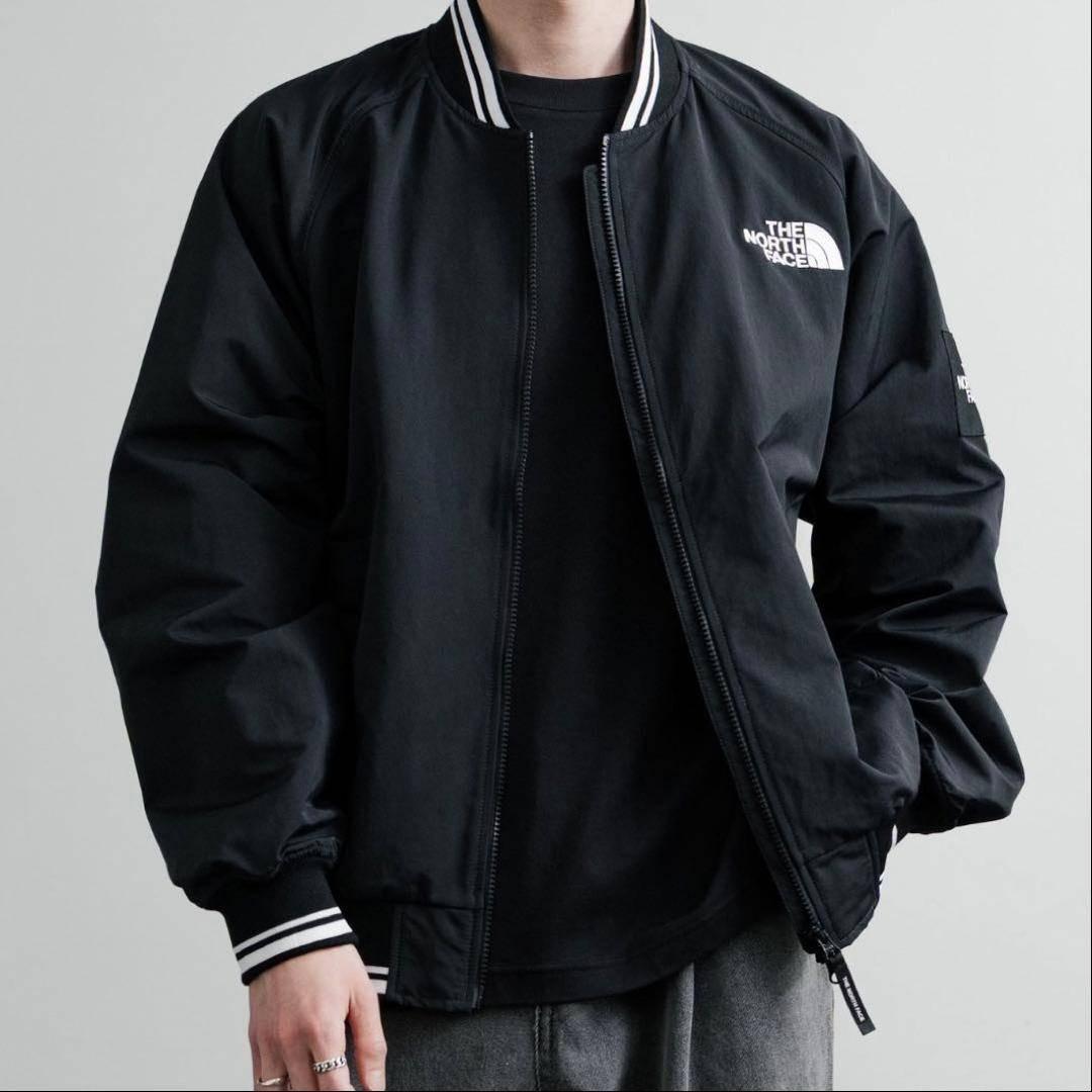 【韓国限定】THE NORTH FACE オレマEX ボンバージャケット L