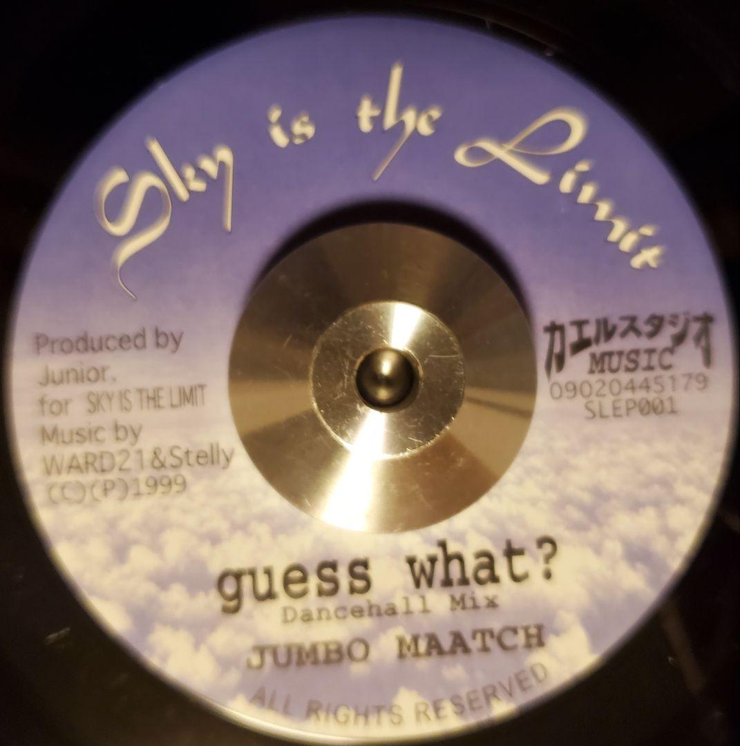 レゲエ　レコード　guess what? Riddim 7曲6枚セット