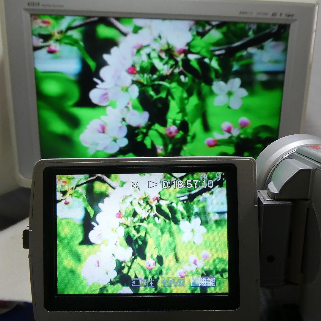 ソニーDCR-TRV50 【動作良好】MiniDV ビデオカメラ　ダビングに最適
