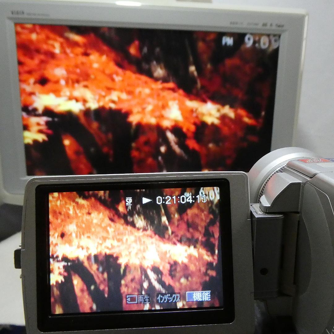 ソニーDCR-TRV50 【動作良好】MiniDV ビデオカメラ　ダビングに最適