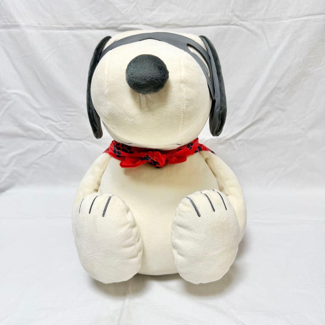 【PEANUTS】スヌーピーメディシンボール ウェアグラースィズ