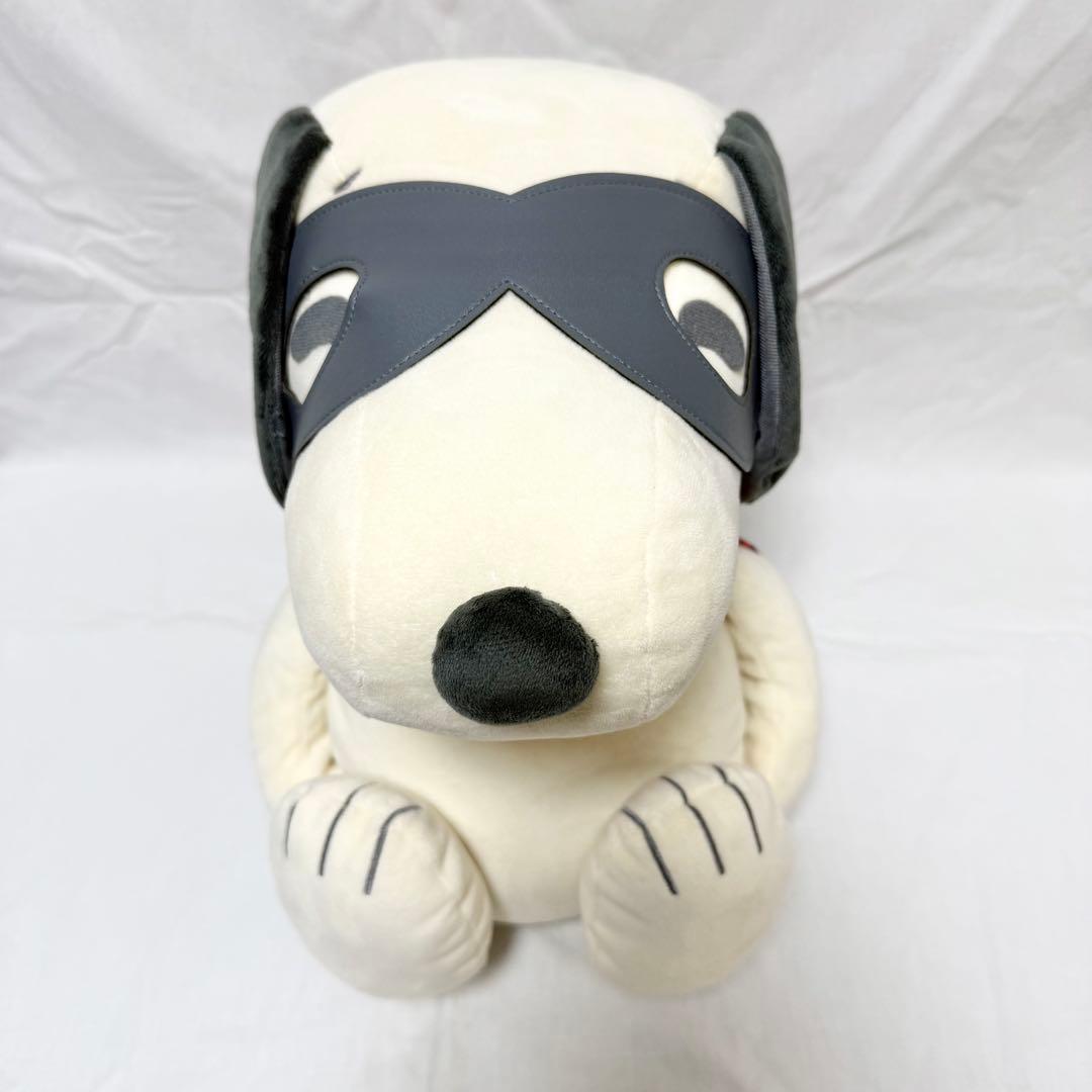 【PEANUTS】スヌーピーメディシンボール ウェアグラースィズ