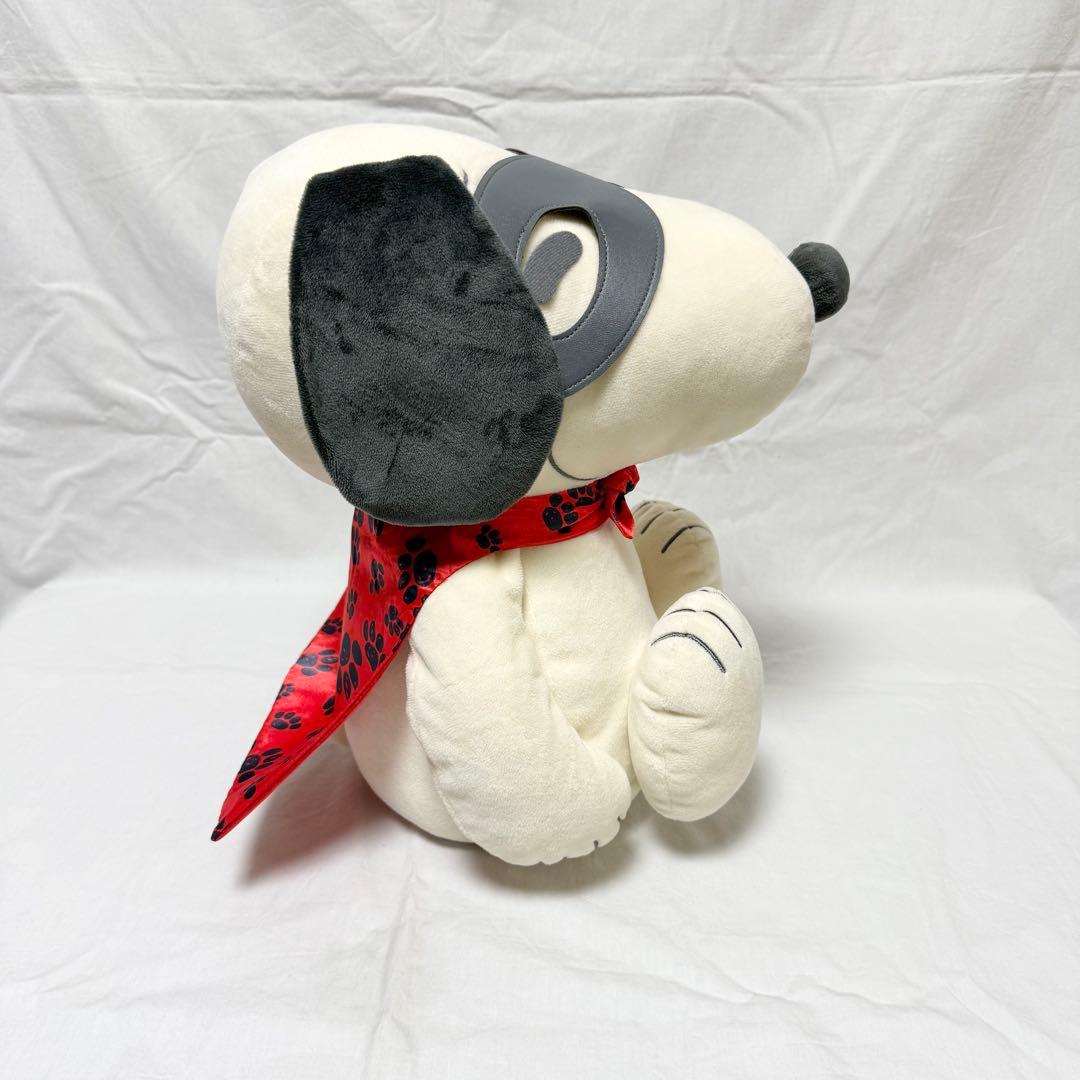 【PEANUTS】スヌーピーメディシンボール ウェアグラースィズ