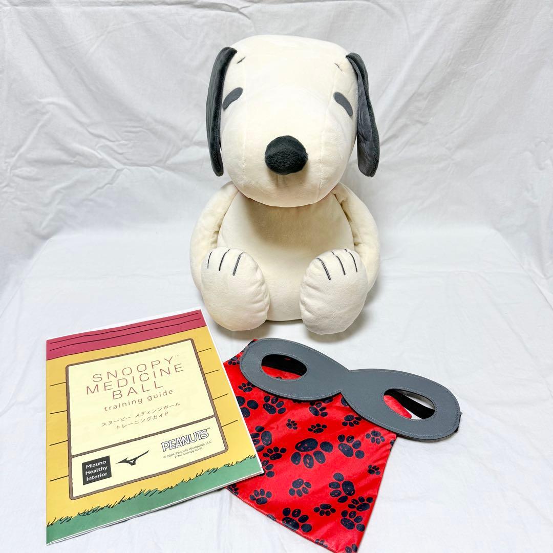 【PEANUTS】スヌーピーメディシンボール ウェアグラースィズ