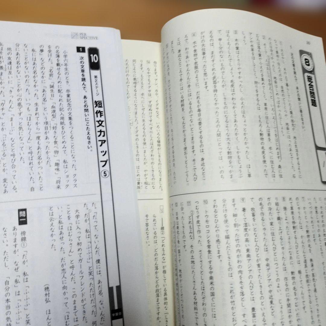 セール中 ena 小5 テキスト　パースペクティブ　本科・講習　1年分フルセット