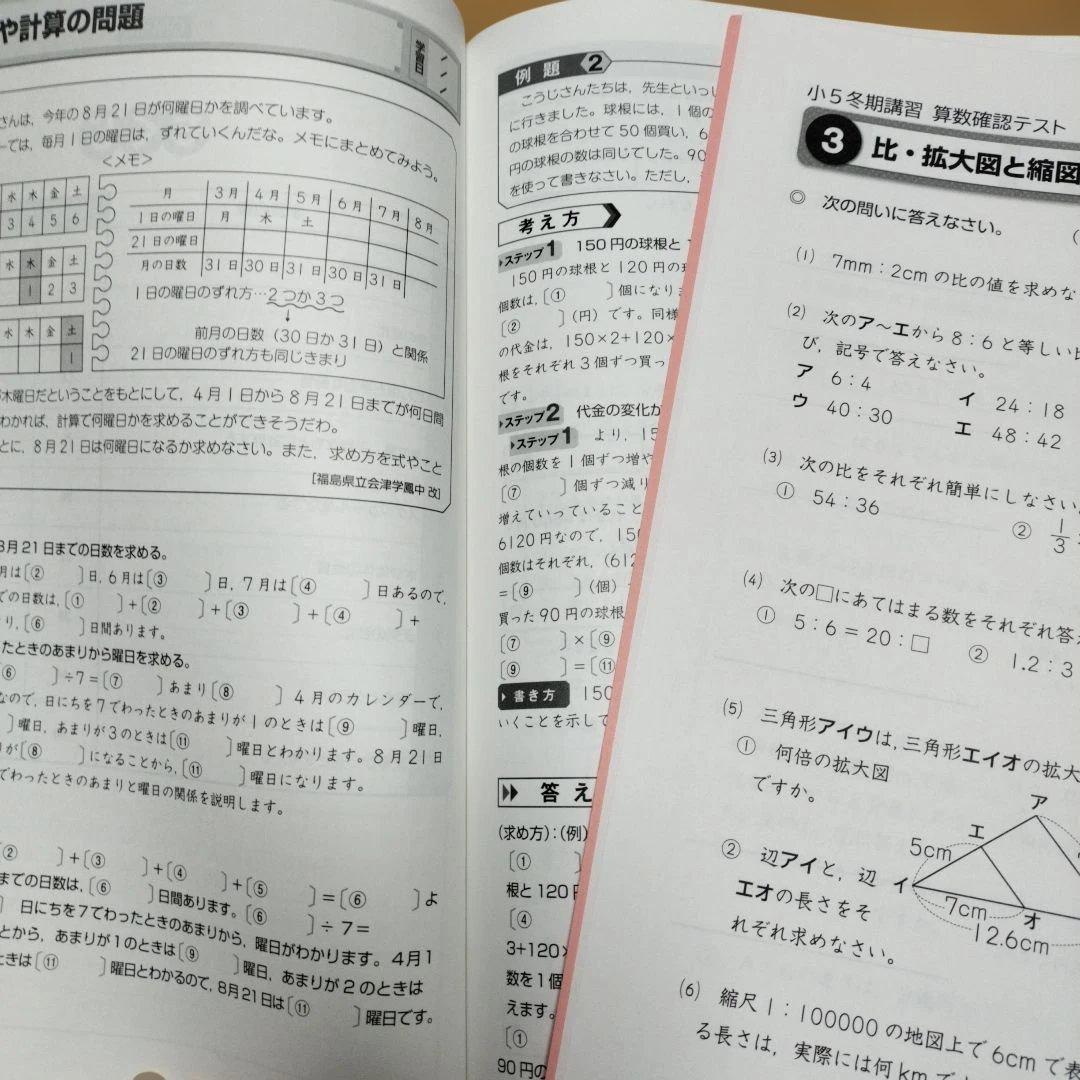 セール中 ena 小5 テキスト　パースペクティブ　本科・講習　1年分フルセット