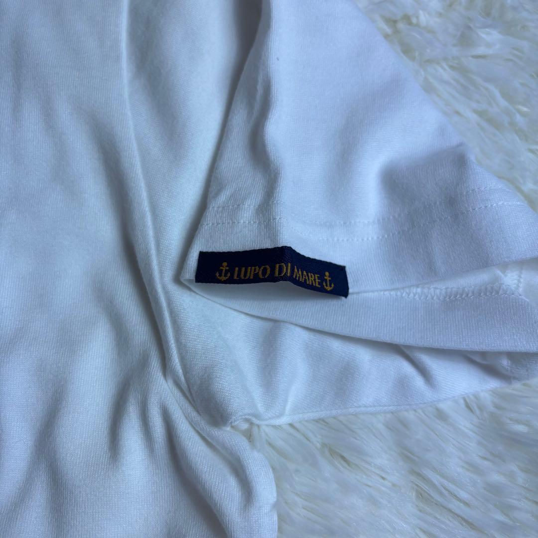 【新品】シナコバ　SINA COVA、Tシャツ、L、ホワイト
