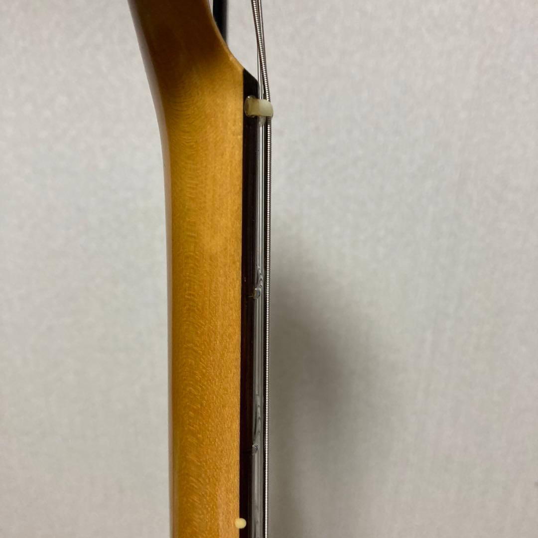 ネックはプロビジョンハカランダ、ボディはTMG
