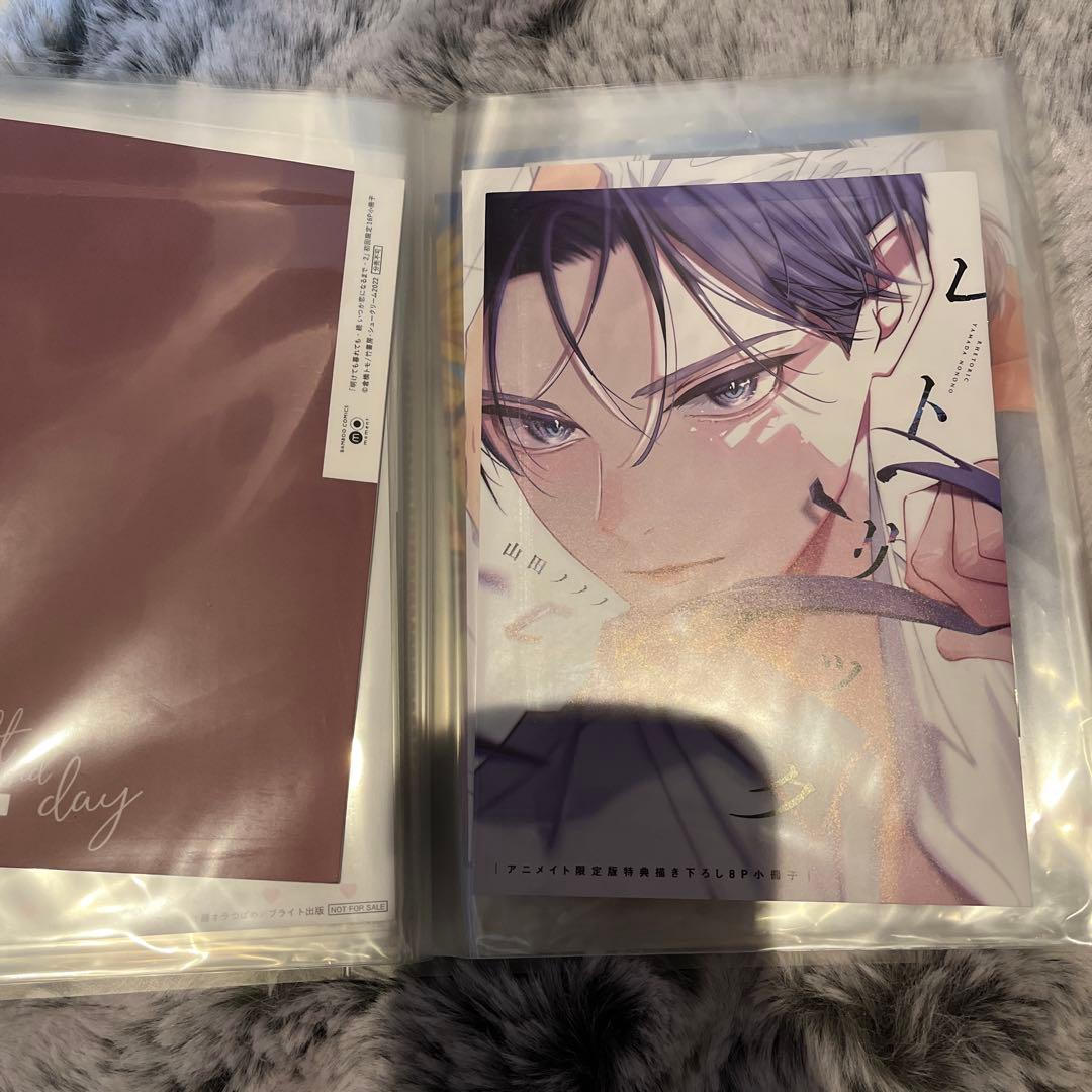 BL漫画 特典リーフレット オンリー まとめ売り