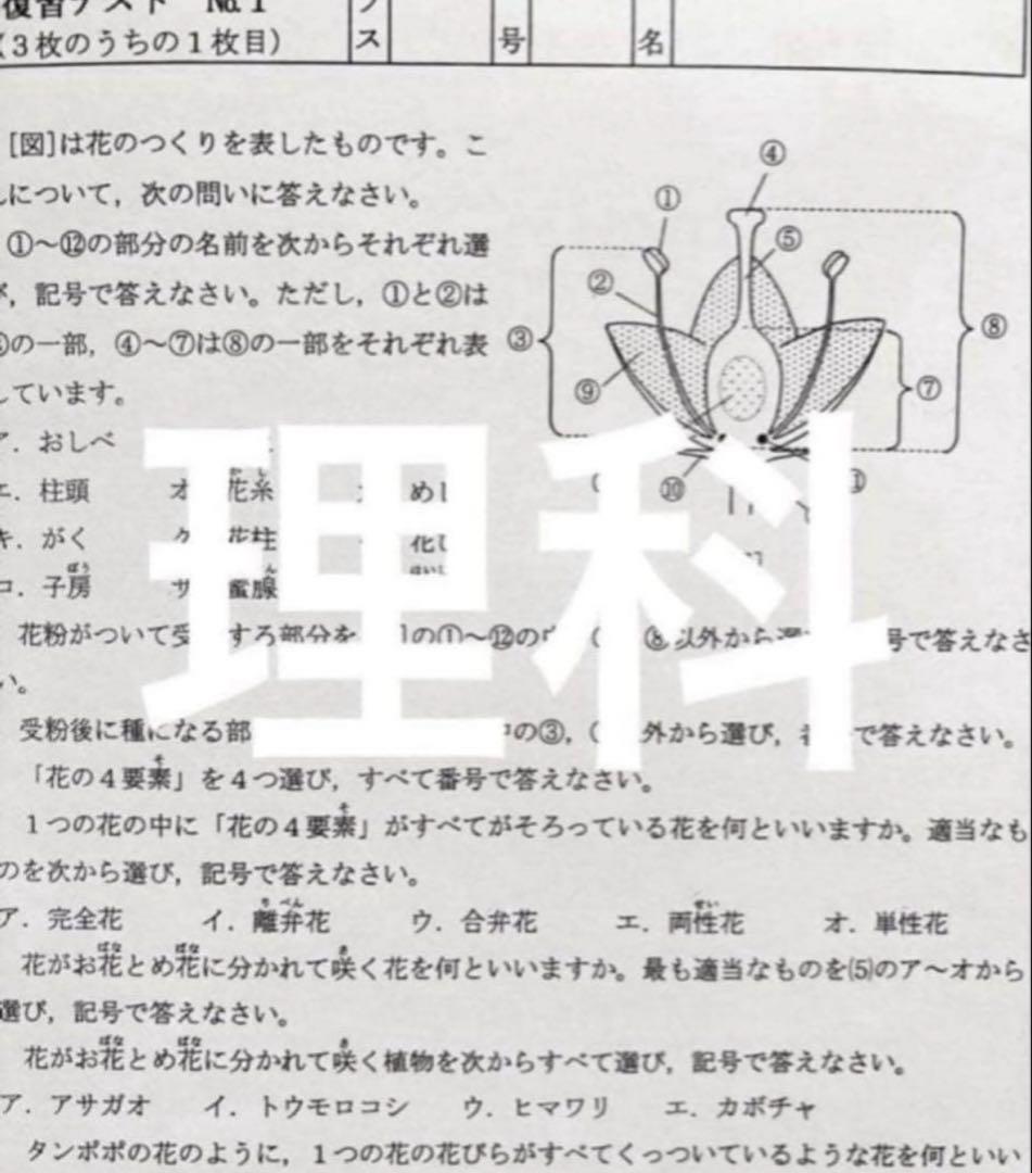 P☆K様