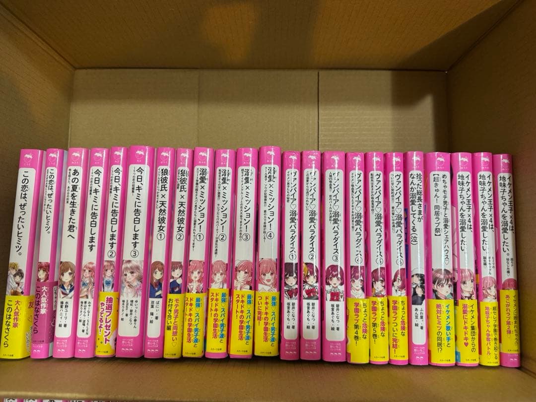 野いちごジュニア文庫　総長さま×5！スペシャル他54冊セット